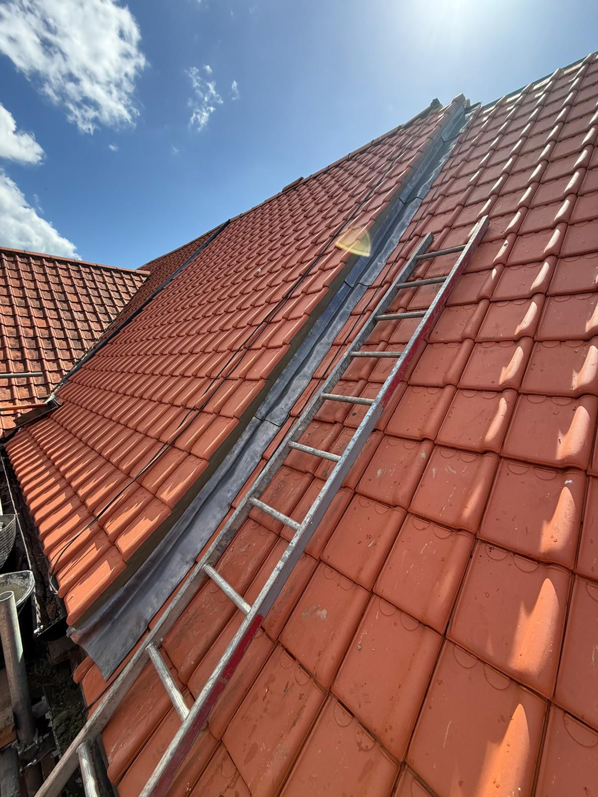 Home 18 Our latest projects